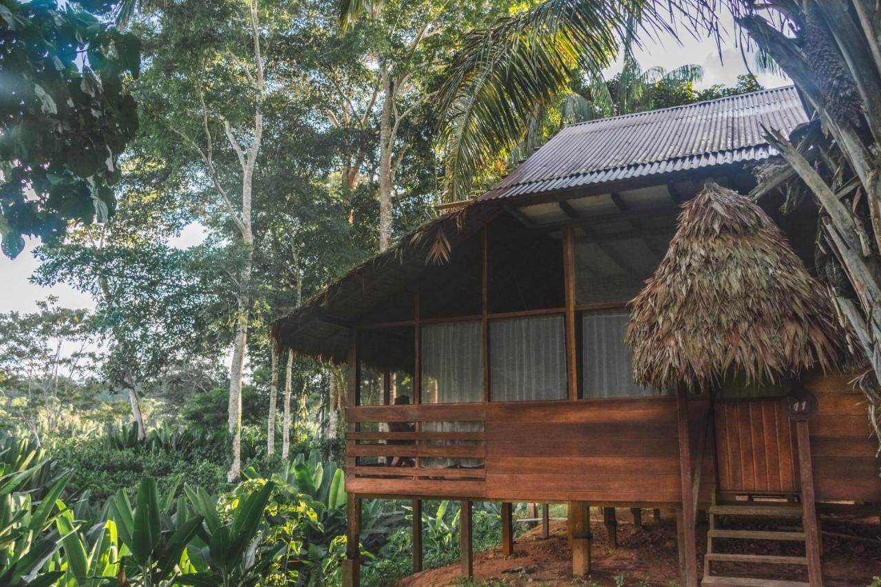 Wasai Tambopata Lodge Экстерьер фото